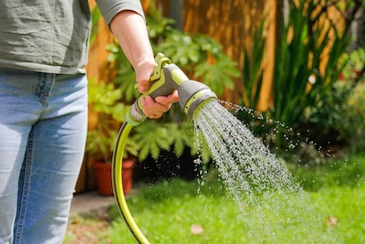 Hoe bescherm je de planten in je tuin tegen de hitte? “Op die manier krijgt het water geen kans om weg te vloeien”