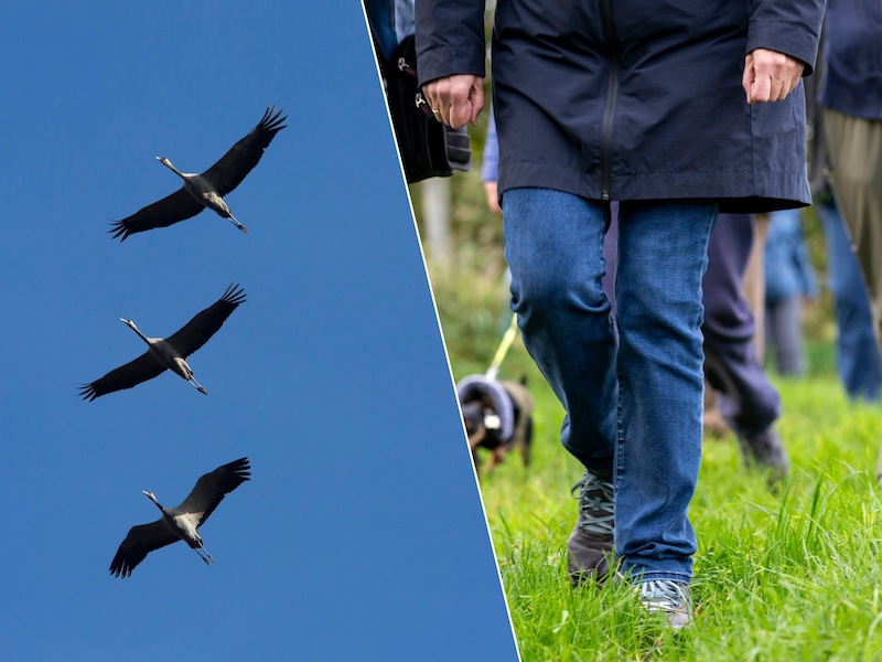 Dit weekend valt er opnieuw heel wat te beleven in Limburg.