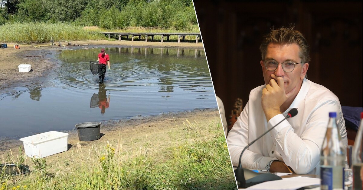 Brugse stadsdiensten redden stervende vissen in wadi, schepen roept op: “Zet géén vissen of schildpa