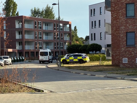 Hulpdiensten in de Fabriekstraat in Wondelgem, waar de vrouw dood werd aangetroffen.