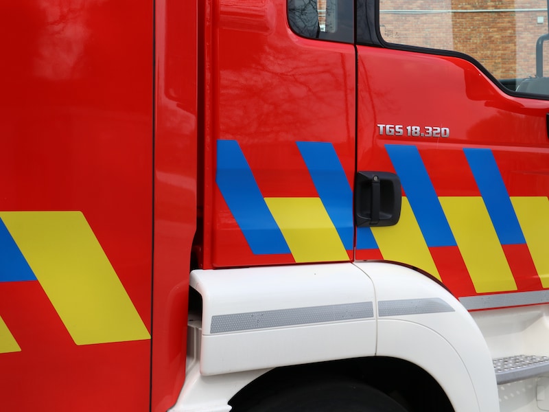 Brandweer redt koe die in beek sukkelt