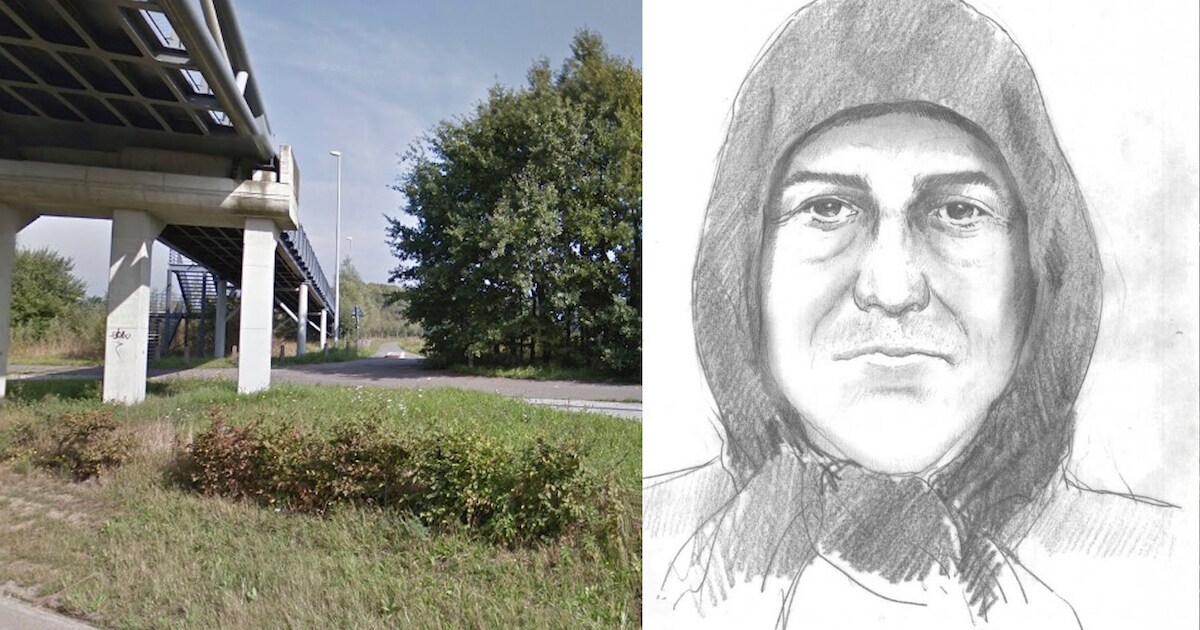 Jaar na brutale verkrachting van jogster: 44-jarige man aangehouden ...