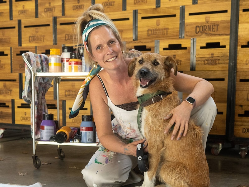 KIJK. 150 honden ‘schilderen’ in Park Spoor Noord in Antwerpen: “Chaos? Nee, hoor”