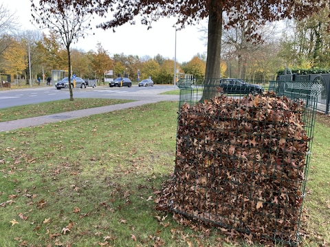 Beeld ter illustratie: Bladkorven