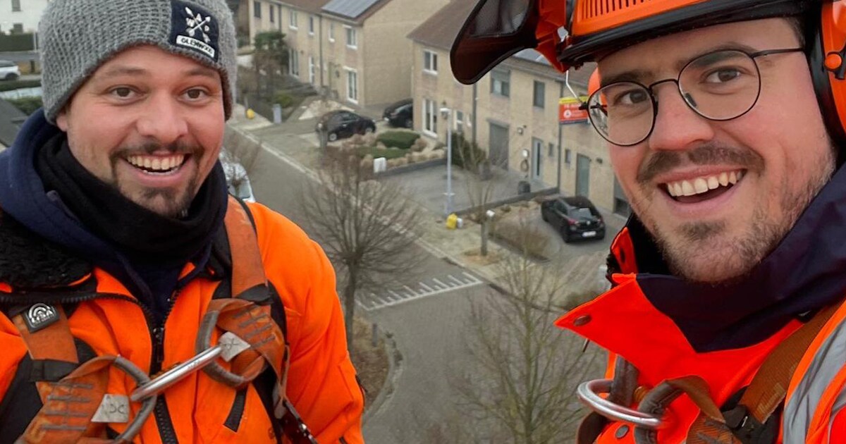 Bomen snoeien in guur weer: burgemeester mee op pad met technische ...