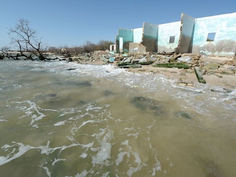 Ook in Senegal haalt het zeewater recordniveaus. "De huidige doelstellingen zijn ontoereikend", waarschuwt een groep experts.