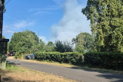 Halve hectare natuurgebied afgebrand in Beringen: brand onder controle, nabluswerken duren nog enkele uren