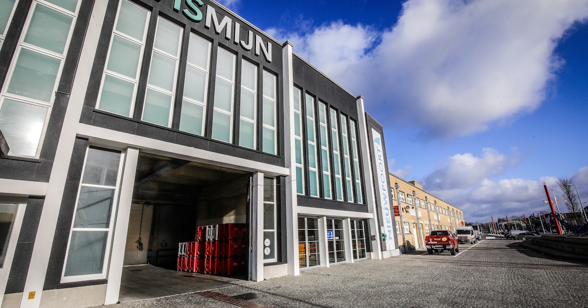 Garnaal is populairste aangevoerde soort in Vismijn Nieuwpoort