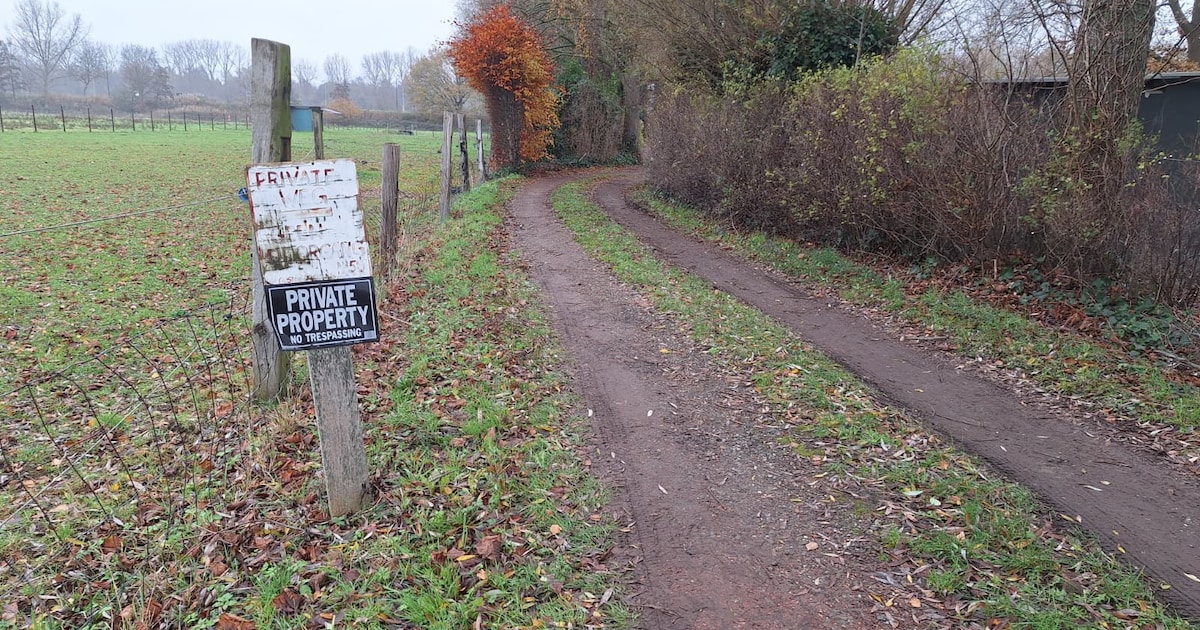 Vrouw (73) overlijdt na val in vijver tijdens etentje bij vrienden in Kapelle-op-den-Bos, man spring