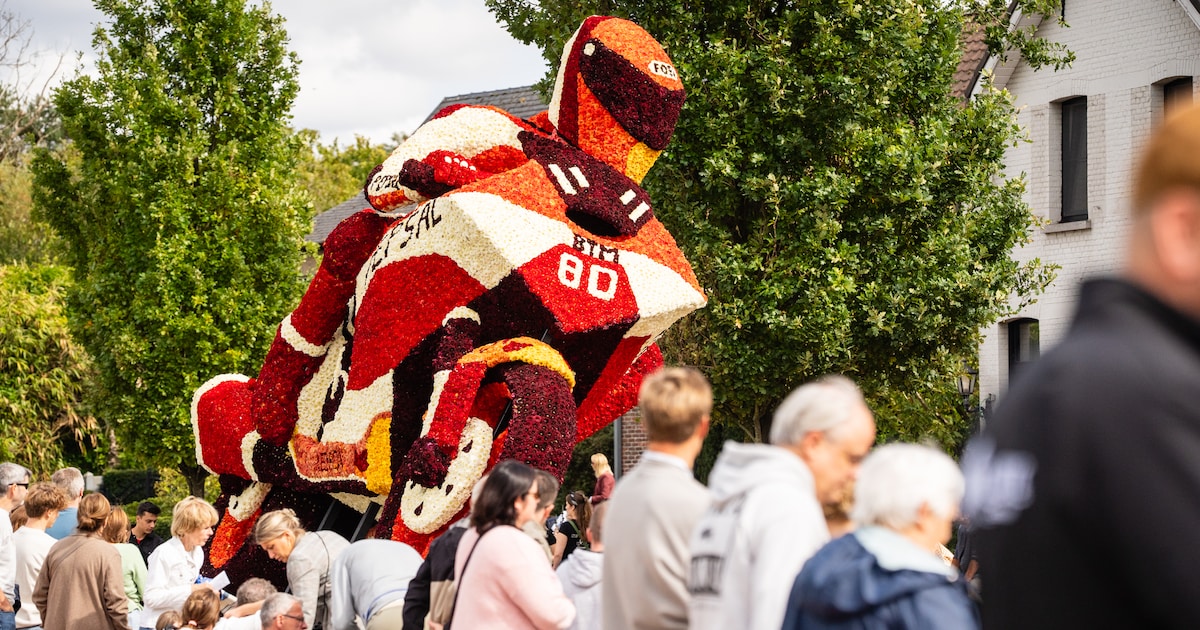 73ste bloemencorso in Loenhout lokt 20.000 bezoekers: bekijk hier de kleurrijke stoet in beeld
