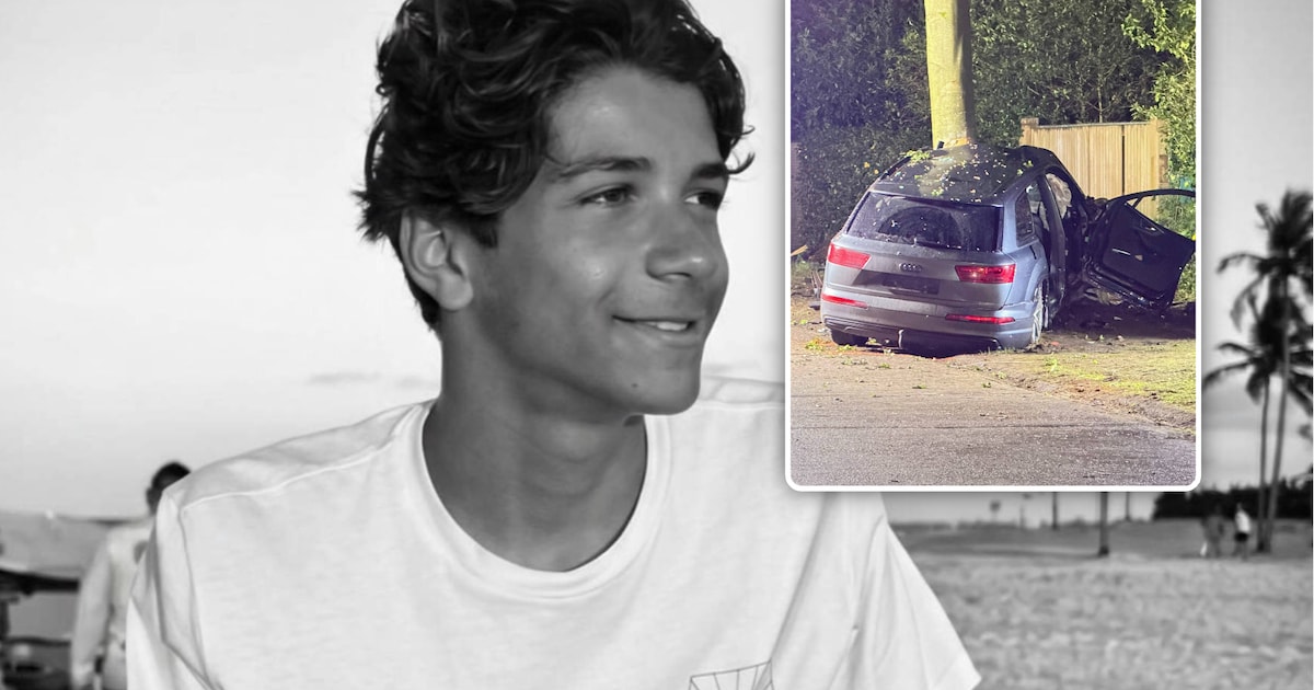 Hotelschool in rouw nadat Martin (16) om het leven komt na autocrash in  Brasschaat: “Zullen hem herinneren als betrokken en gemotiveerde jongen” |  Regio | HLN.be