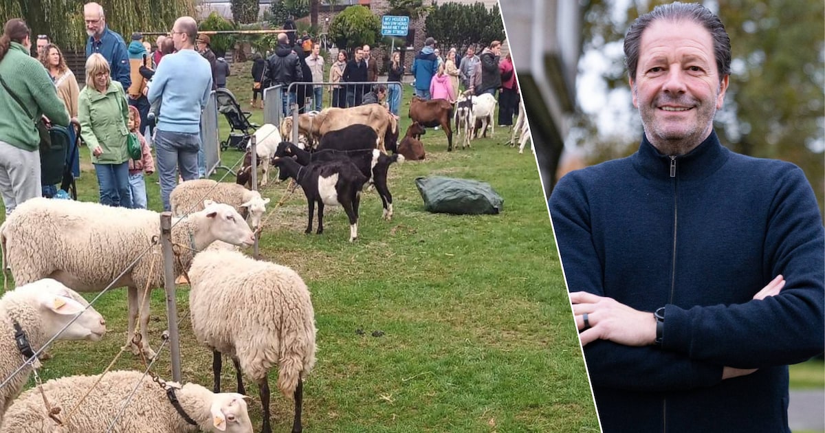 Veel lof voor jaarmarkt, maar geen plaats voor politieke partijen: “Handelaars krijgen voorrang”