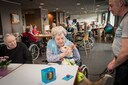 11.800 honden en 6.600 katten... Hoe Roeselare de beestig leukste stad ...