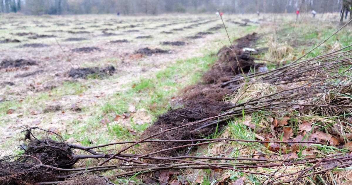 Oudenburg lanceert bOOm+plan | Oudenburg | HLN.be