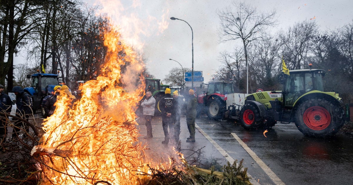 EU-lidstaten zetten licht op groen voor Mercosur-akkoord