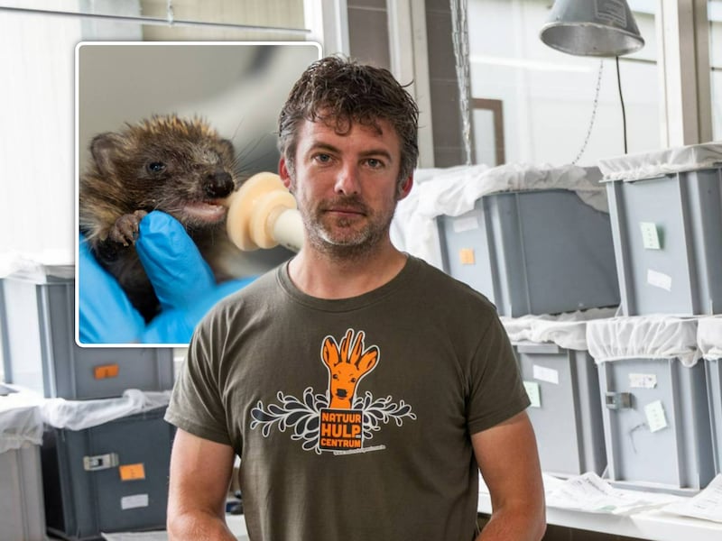 Frederik Thoelen (40), de directeur van het Natuurhulpcentrum in Oudsbergen, ziet heel wat extra verzwakte dieren.