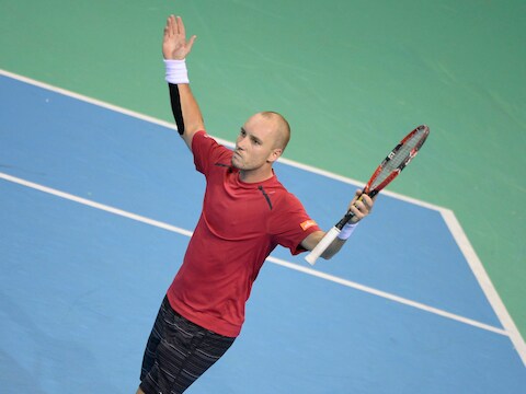 Steve Darcis