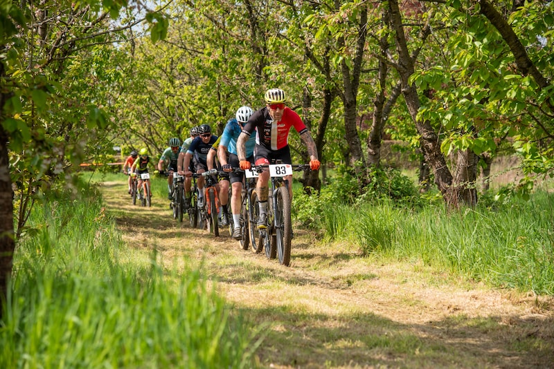 Hij stopte met spoorbouw en bouwt nu fietsen van hout, maar het echte