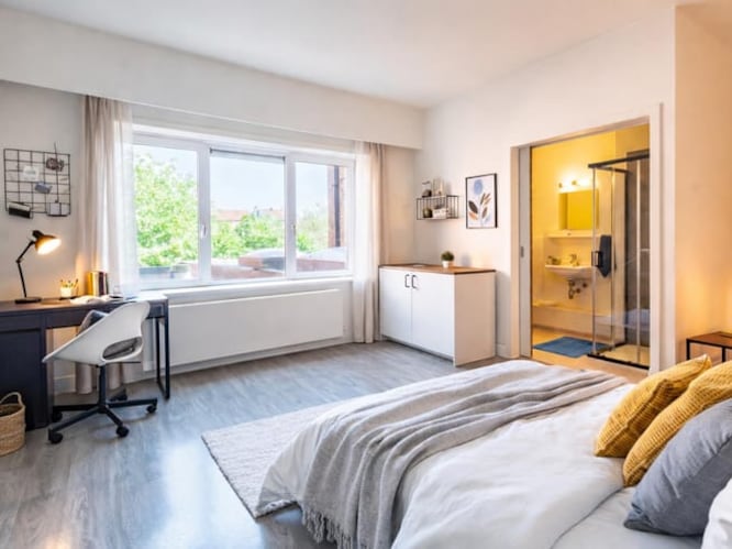 Gent | hln.be