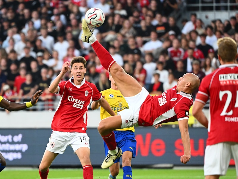 “Ik hou van deze club”: aanwinst Michael Frey knalt zwoegend Antwerp met fantastische omhaal op en over ex-ploeg Beveren