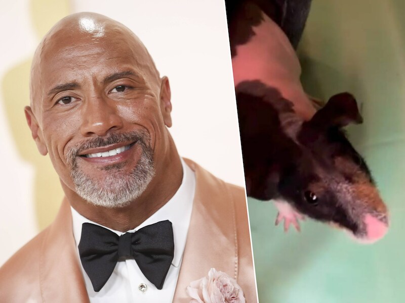Dwayne Johnson wordt verrast na thuiskomst van Oscars: “Ik heb er twee gezinsleden bij”