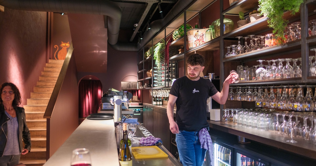 Tapasbar Sava heropent na grondige opknapbeurt: “Warmer, gezelliger en nóg meer tapas”