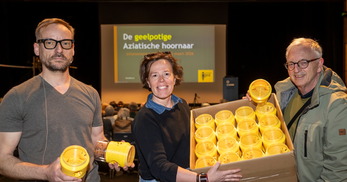 Gemeente verdeelt meer dan honderd lokvallen in strijd tegen Aziatische hoornaar