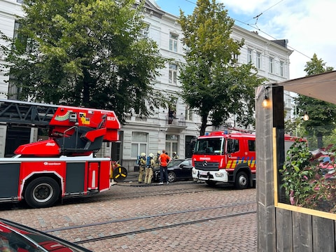 Een bloembak is vrijdag rond 17.17 uur in brand gevlogen aan de achterkant van een woning in de Leopold De Waelstraat in Antwerpen.