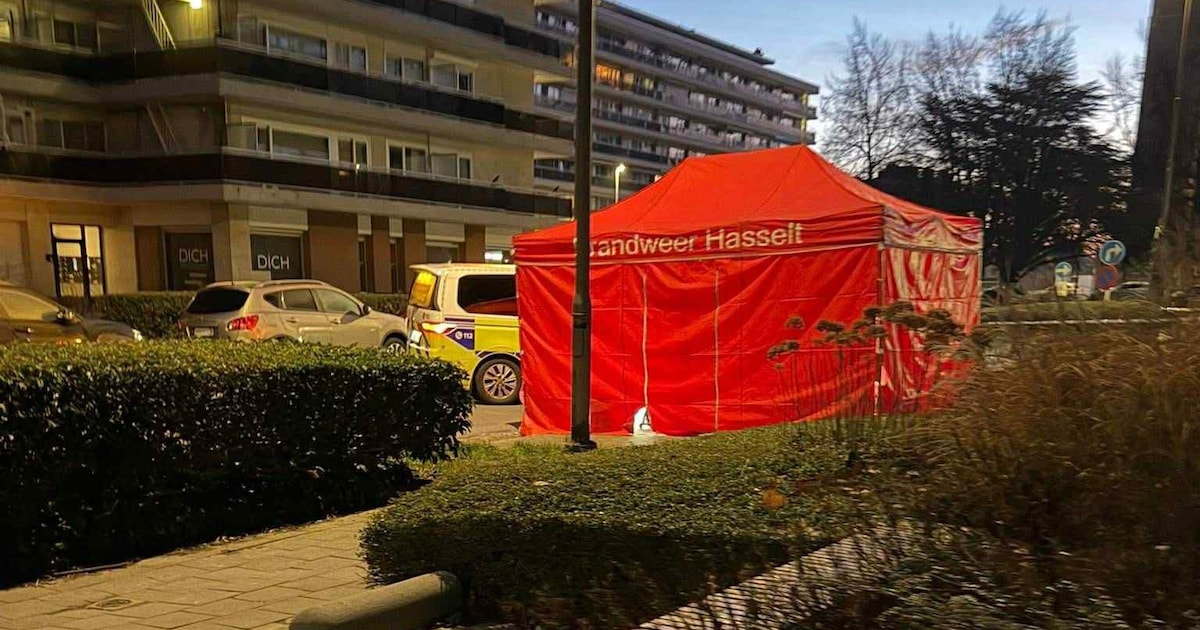 Lichaam van oudere vrouw aangetroffen in Sint-Katarinalaan in Hasselt