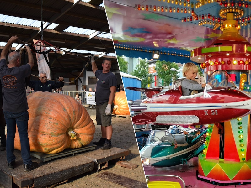 Wat te doen in de Kempen dit weekend? Van bierfestival tot shoppingweekend, kermis en een pompoenweging