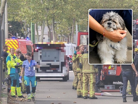 De hulpdiensten aan de Grote Steenweg in Berchem. Inzet: het hondje van het overleden slachtoffer wist uit het brandende pand te vluchten en werd door een alerte voorbijgangster opgevangen op straat, in afwachting van de politie.