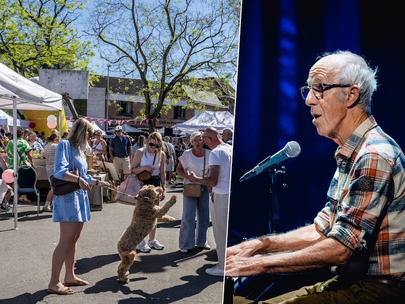 Wat te doen in de Denderstreek en Vlaamse Ardennen dit weekend: van het Midsummer Festival in Ronse tot de braderie in Ninove