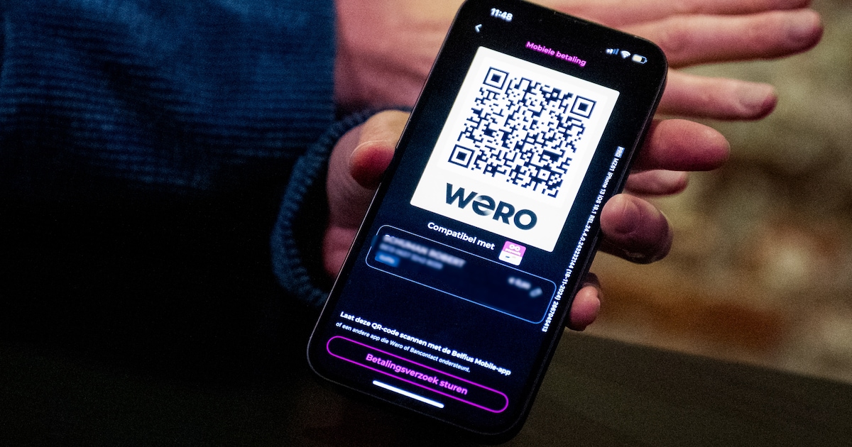 Gratis webinar over betaalapp Wero