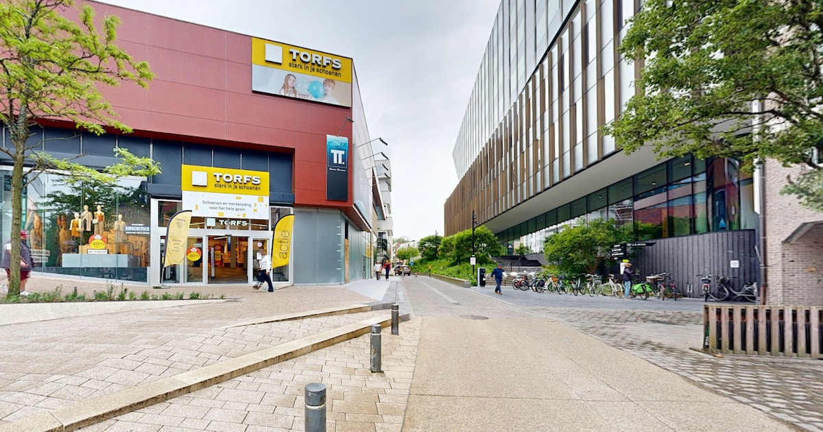 Man (33) aangehouden die aan de haal ging met handtas van bejaarde vrouw (82) in Hasselt