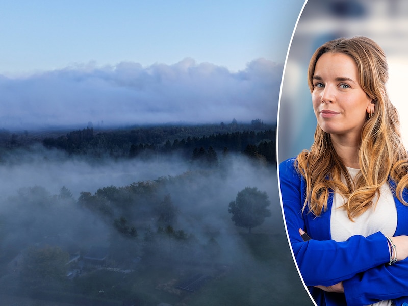 “België was niet voorbereid op een natuurbrand van dit kaliber”