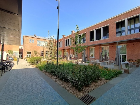 Barbara Vettersplein in Lier na de onthardingswerken