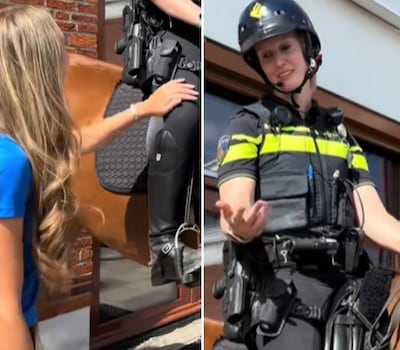 KIJK. Nederlandse vrouw vraagt agente te paard of ze “mag aaien”, dan streelt ze haar been: video krijgt miljoenen views