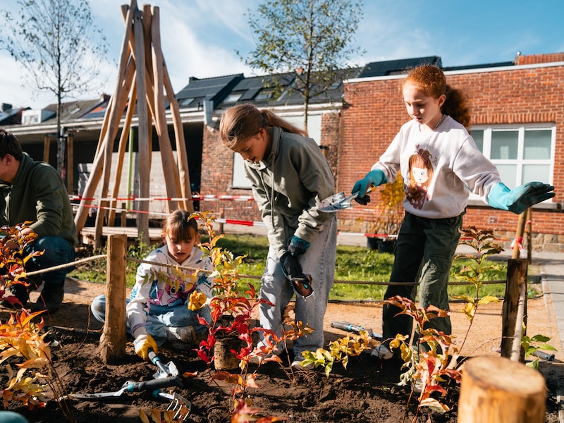 De kinderen van de Grote Uilenklas helpen met planten. 