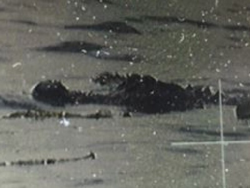 Op dit beeld zou de alligator een lijk vasthebben.