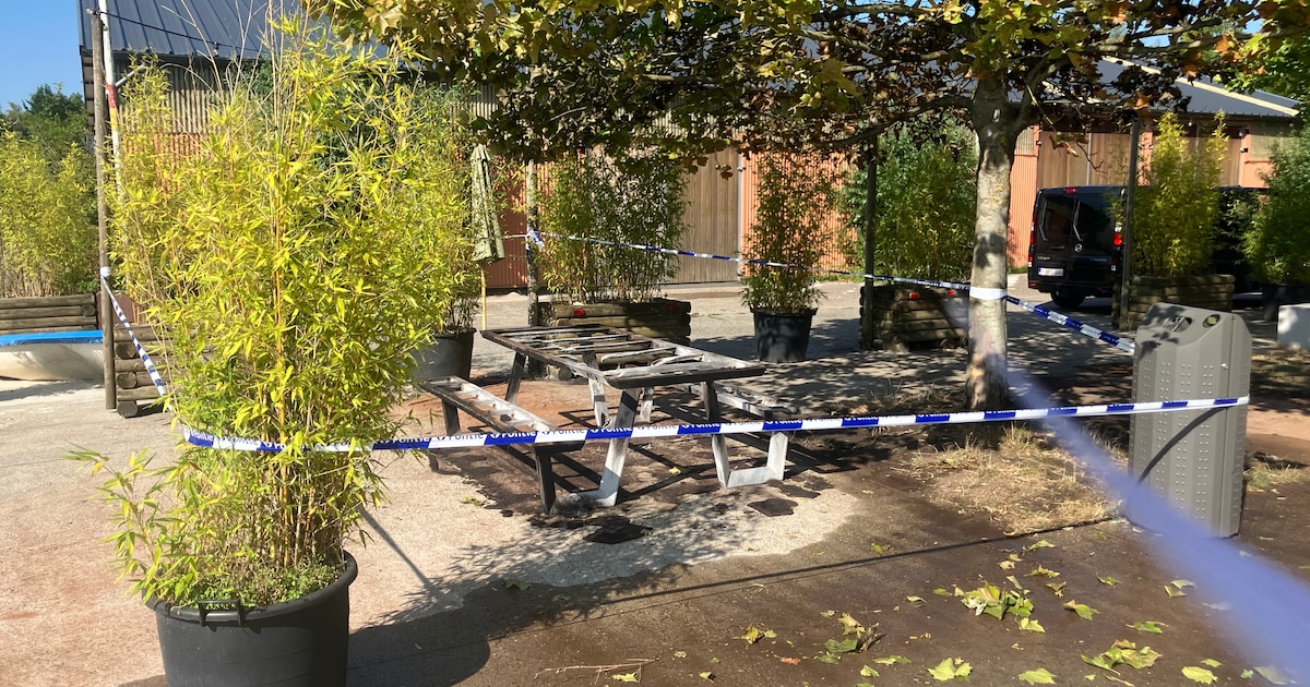Twee zitbanken in Fort 3 in Borsbeek in brand gestoken: politie onderzoekt de zaak