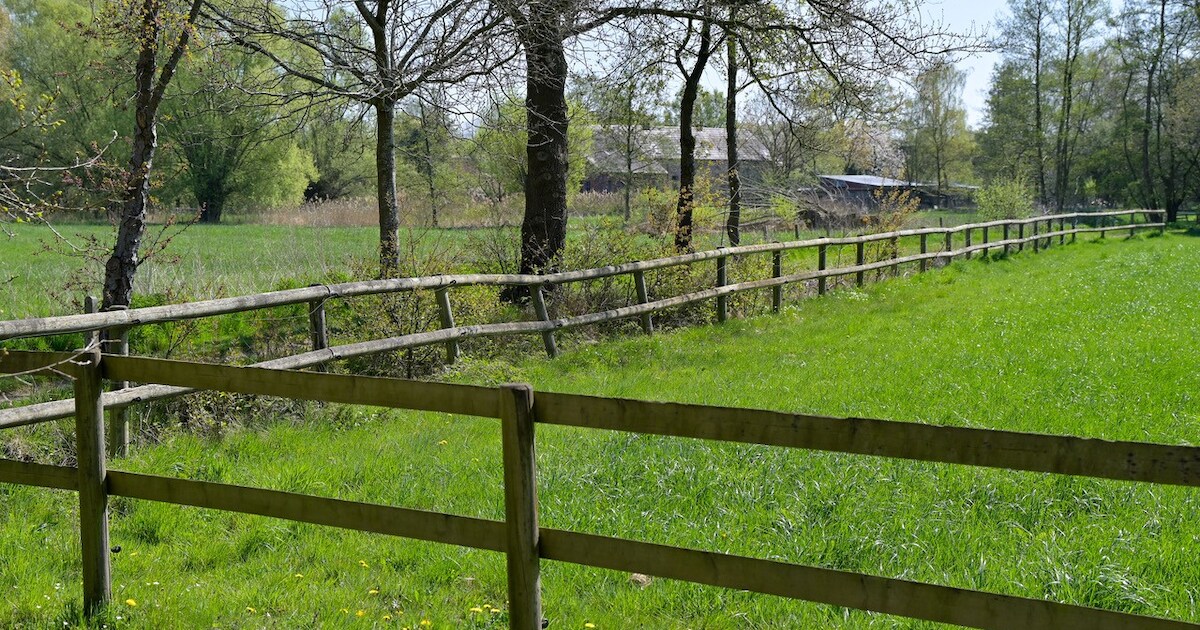 Nieuwe trage zomerwandelzoektocht van Toerisme Voorkempen: geen stress ...