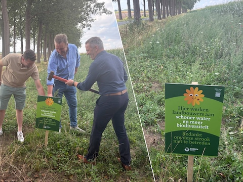 Het eerste infobordje van de Boerenbond werd langs een maisveld in de Sticheldreef in Nazareth-De Pinte geplaatst.