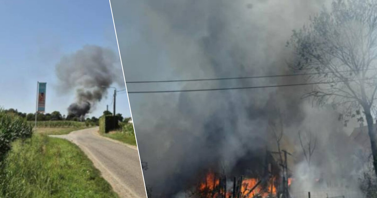 Hevige brand verwoest groot tuinhuis in Herenthout: “Door de extreme hitte blijven we extra waakzaam