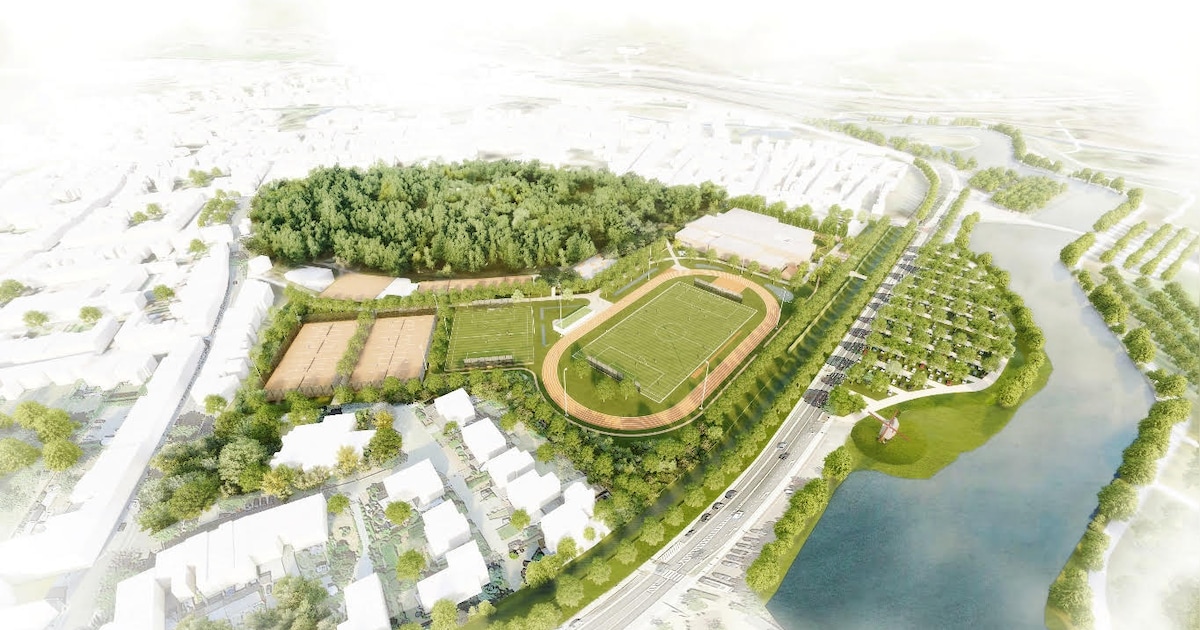 Gemeenteraad Diest keurt miljoeneninvestering voor nieuw Sportpark De Warande definitief goed