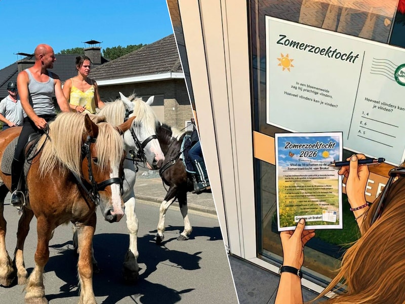 Wat te doen in de Denderstreek en de Vlaamse Ardennen dit weekend: van wandelen in de voetsporen van Daens in Aalst tot een zomerzoektocht en de 60ste Paardenommegang in Mere