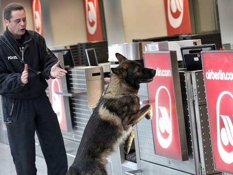 Een politiehond zoekt naar explosieven op de luchthaven van het Duitse Düsseldorf.