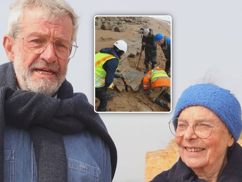KIJK. Belgisch koppel vindt 174 jaar oud fossiel van zeereptiel aan Britse kust: "Plots zien we iets op een steen liggen, donkerder dan de steen zelf"