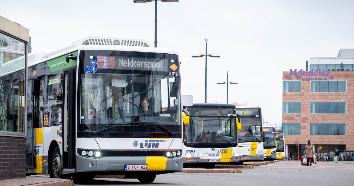 Ritten geschrapt en één lijn verdwijnt zelfs helemaal: zo wil De Lijn vanaf juli 637.000 euro bespar