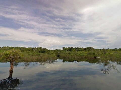 Street View-opname van de Rio Negro even ten noordwesten van de Braziliaanse stad Manaus.