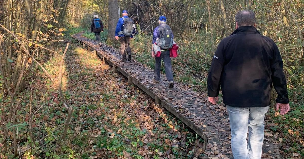 Meer dan duizend wandelaars genieten van zon tijdens Octaaftocht